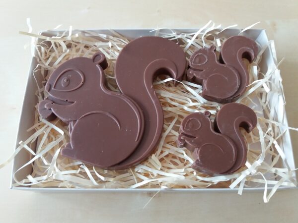 Milk Chocolate Squirrel Family Gift Box